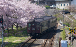 2006,04,17わたらせ渓谷鐵道水沼駅横07.jpg