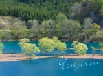 2007,05,14新緑の秋扇湖.jpg