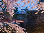 2012,04,27鶴ヶ城の夜桜016.jpg