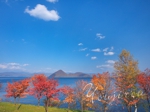 秋の洞爺湖.jpg